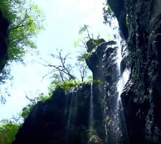 青山綠水，白龍江畔江畔息白鷺，兩岸綠橄欖入眼的都是純樸自然枝上花開(kāi)，春來(lái)水暖魚(yú)蝦戲水，鳥(niǎo)語(yǔ)花香心中充滿(mǎn)著舒暢之感祥宇生態(tài)產(chǎn)業(yè)園，位于隴南市武..